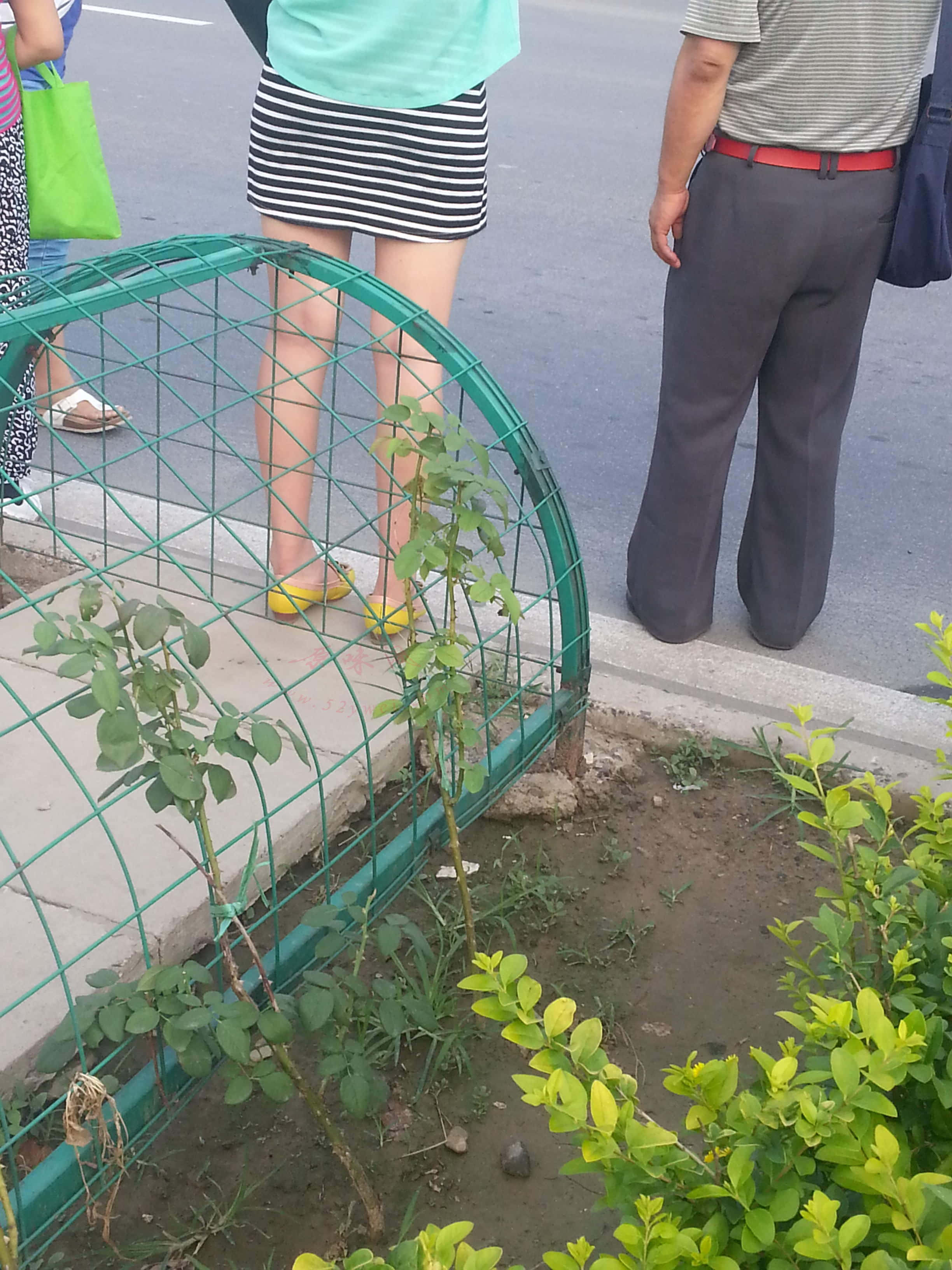 旋转 20130812_175531.jpg