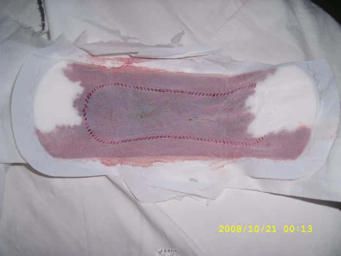 SL272078.JPG