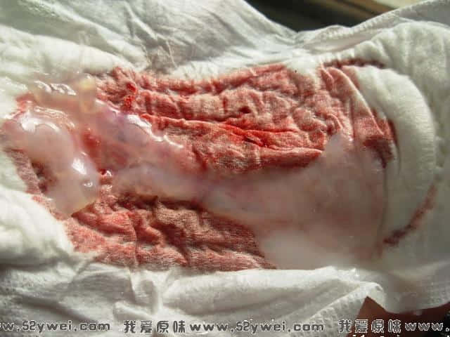 DSCN2499.jpg