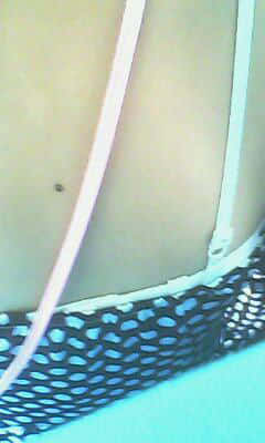 IMG1529A.jpg