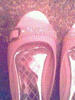 IMG0439A.jpg