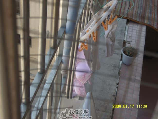 SNV80001.JPG