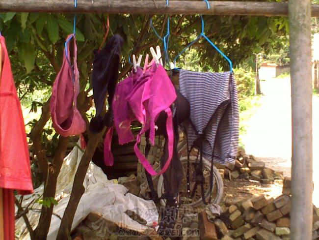 20090512143.jpg