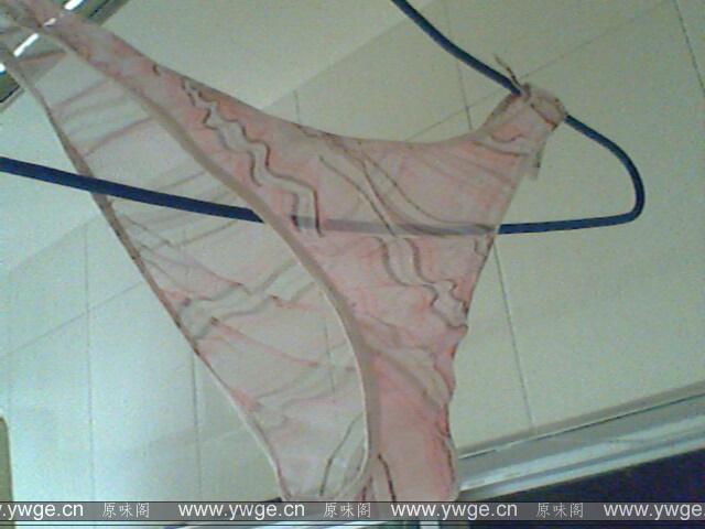 IMG1141A.jpg