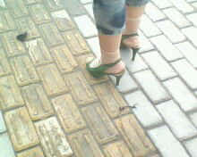 IMG0361A.jpg