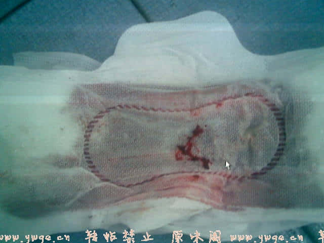 20071226.jpg