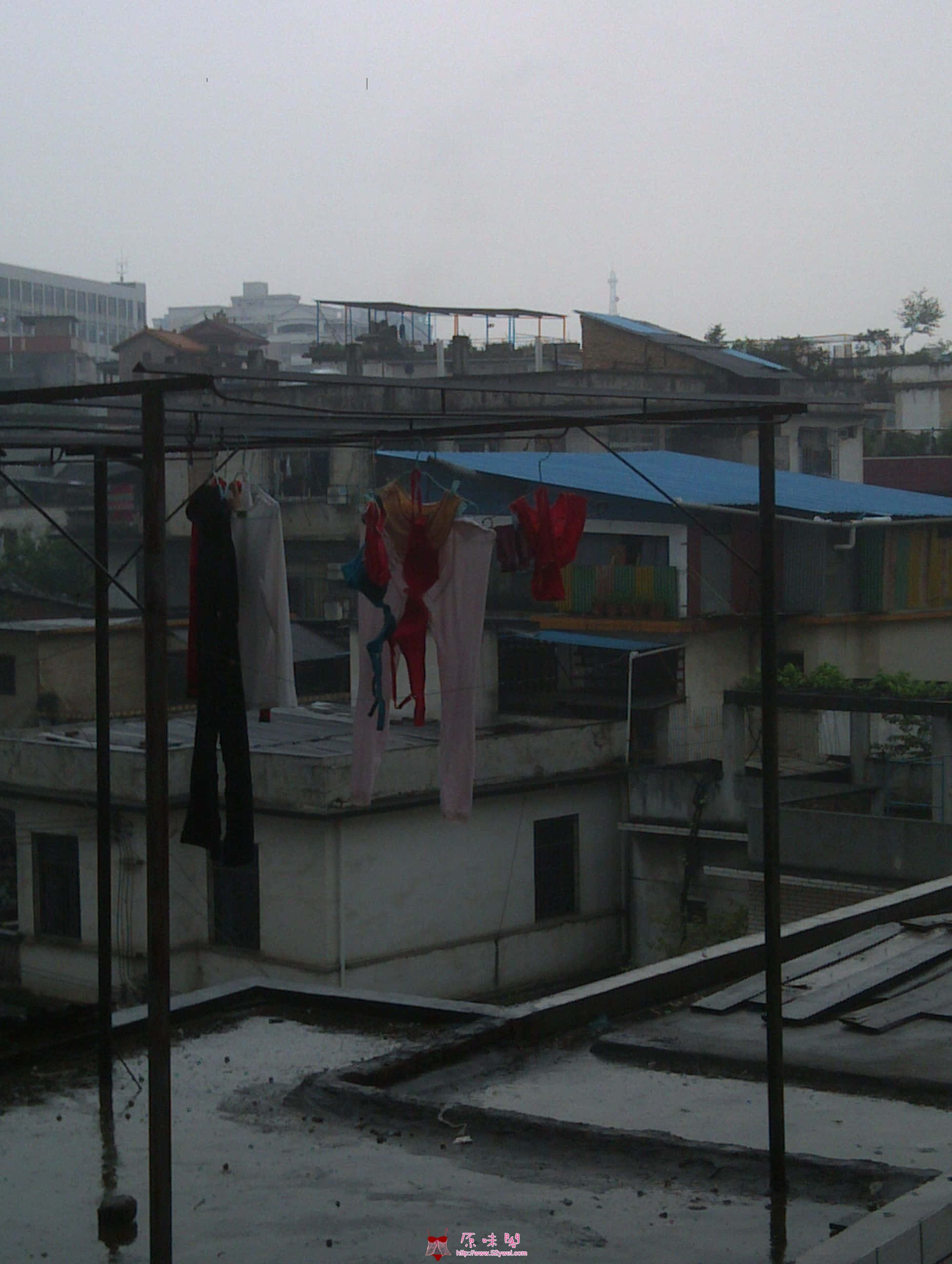 IMAG0088.jpg