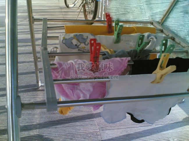 20090911(003)1.jpg