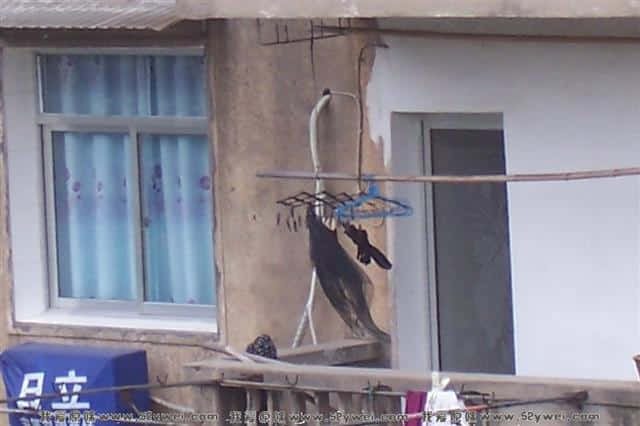100_3038.JPG