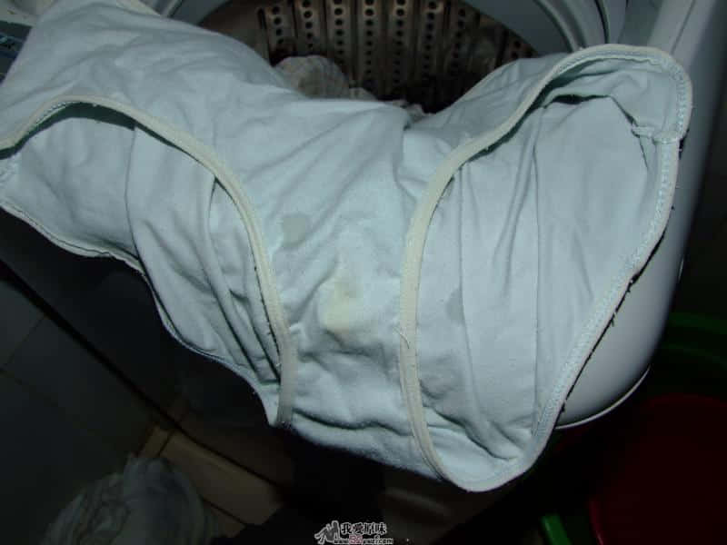 照片 010.jpg