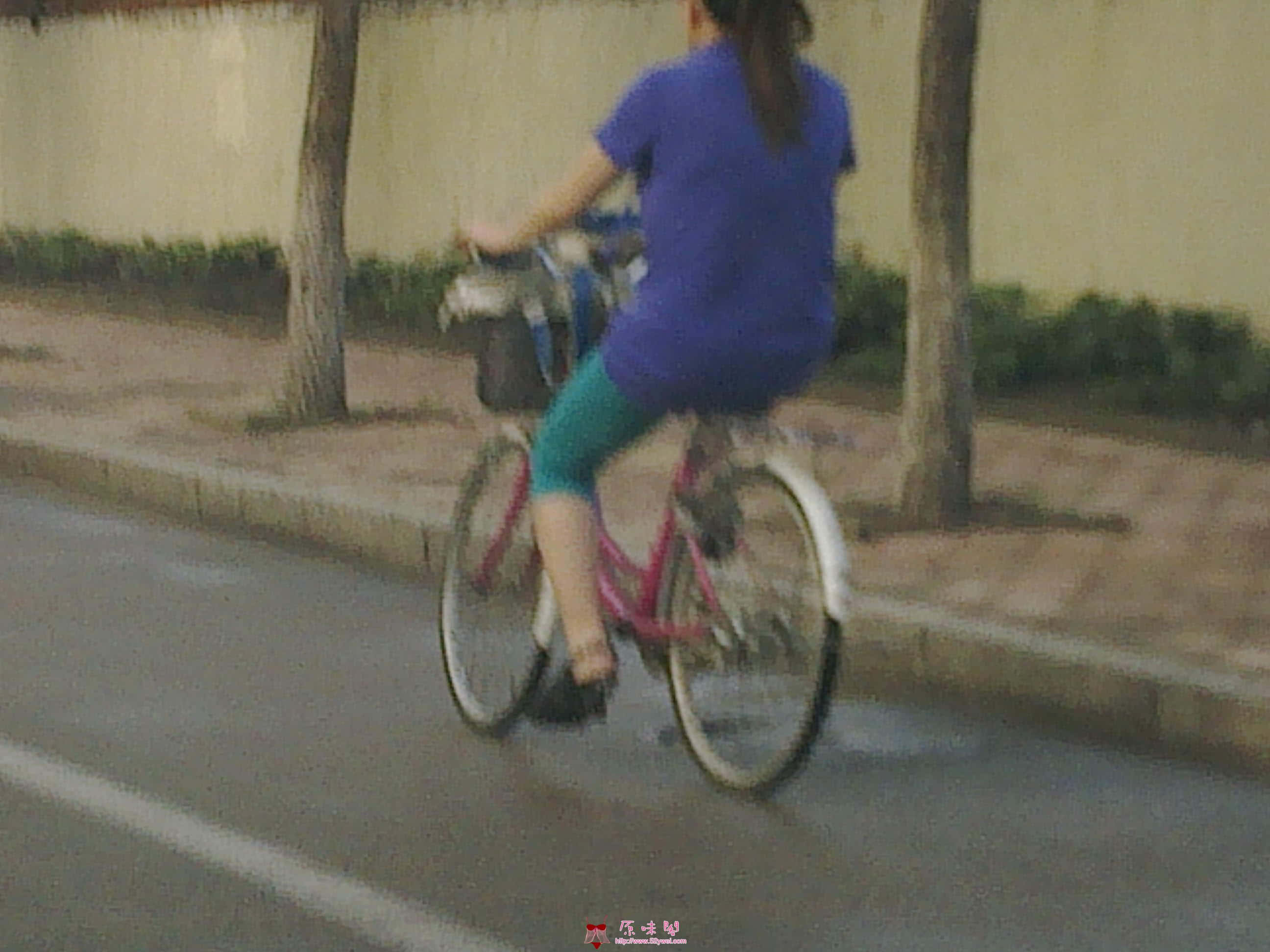 20110811332.jpg