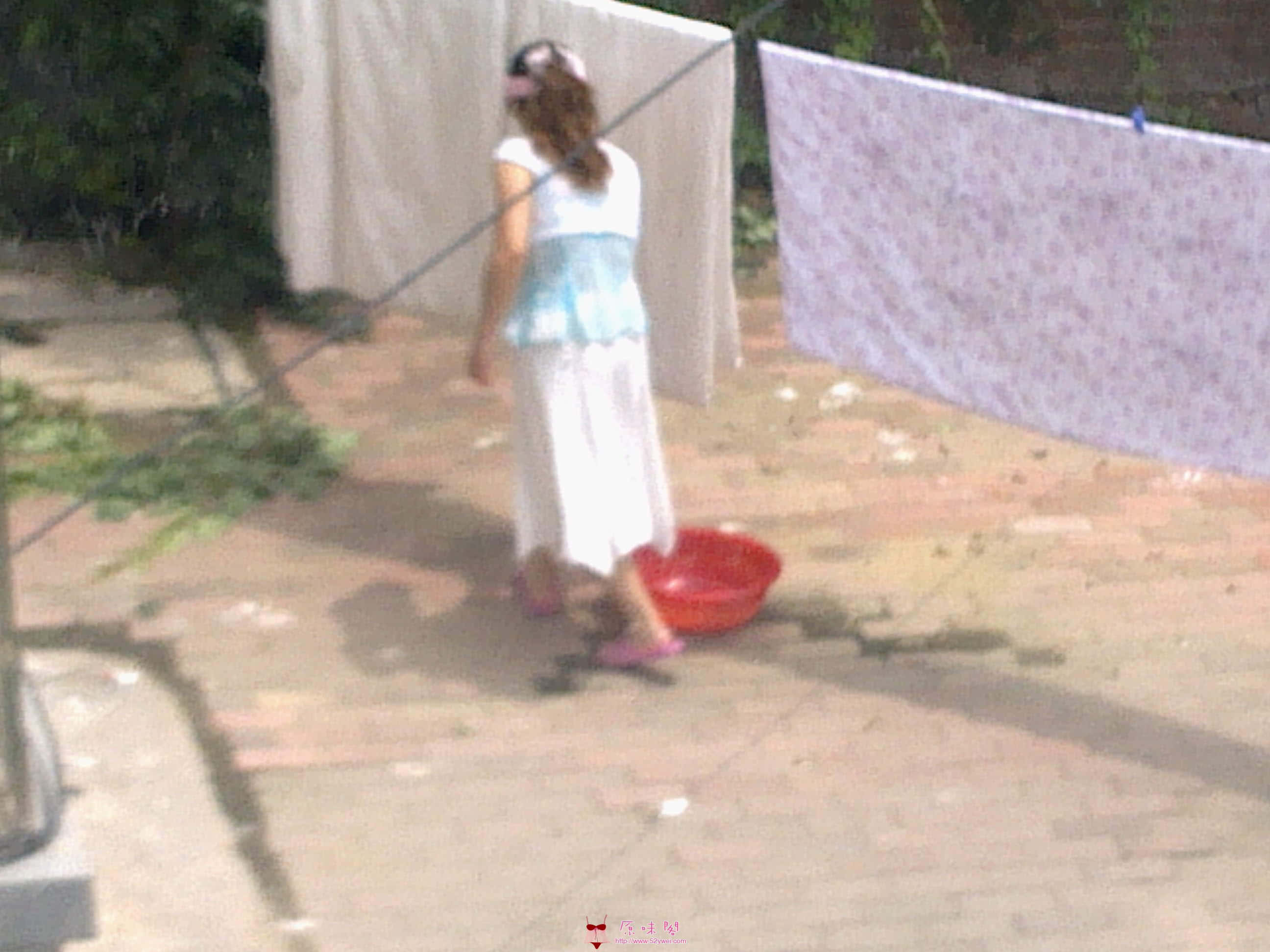 20110803300.jpg