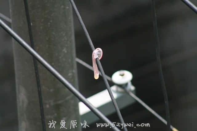 起码有四楼哪么高