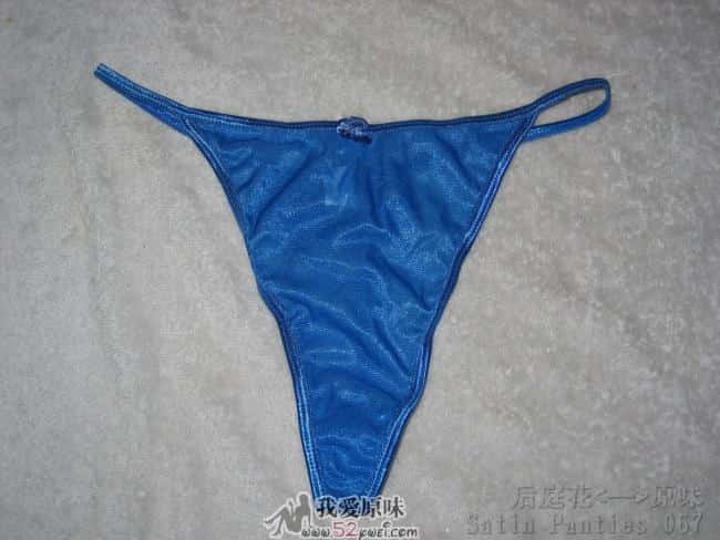 Satin Panties 067.jpg
