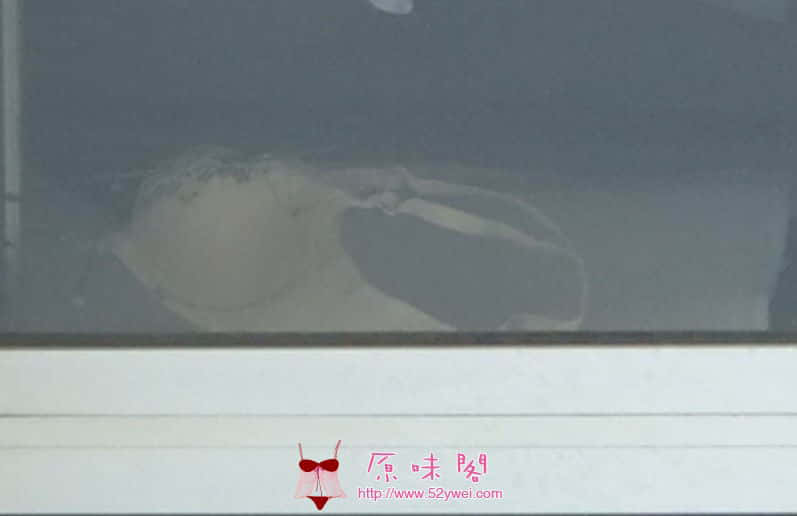 未命名.jpg