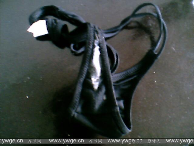 IMG1364A.jpg