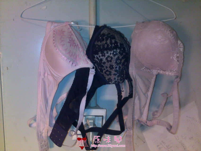 20111216024.jpg