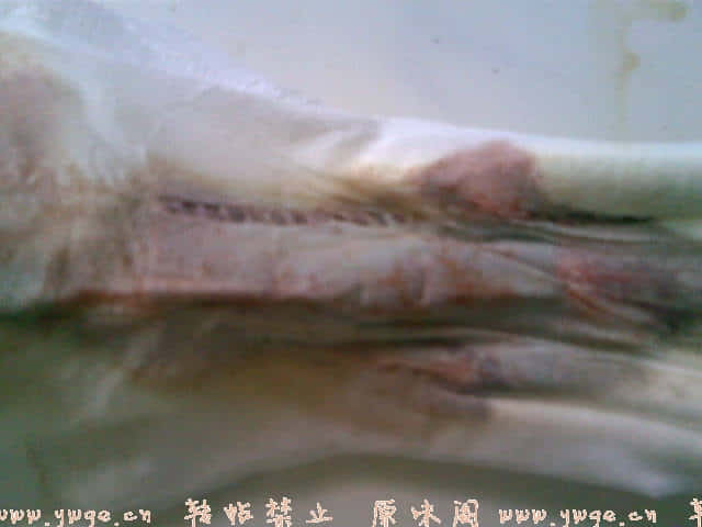 20071230(006).jpg