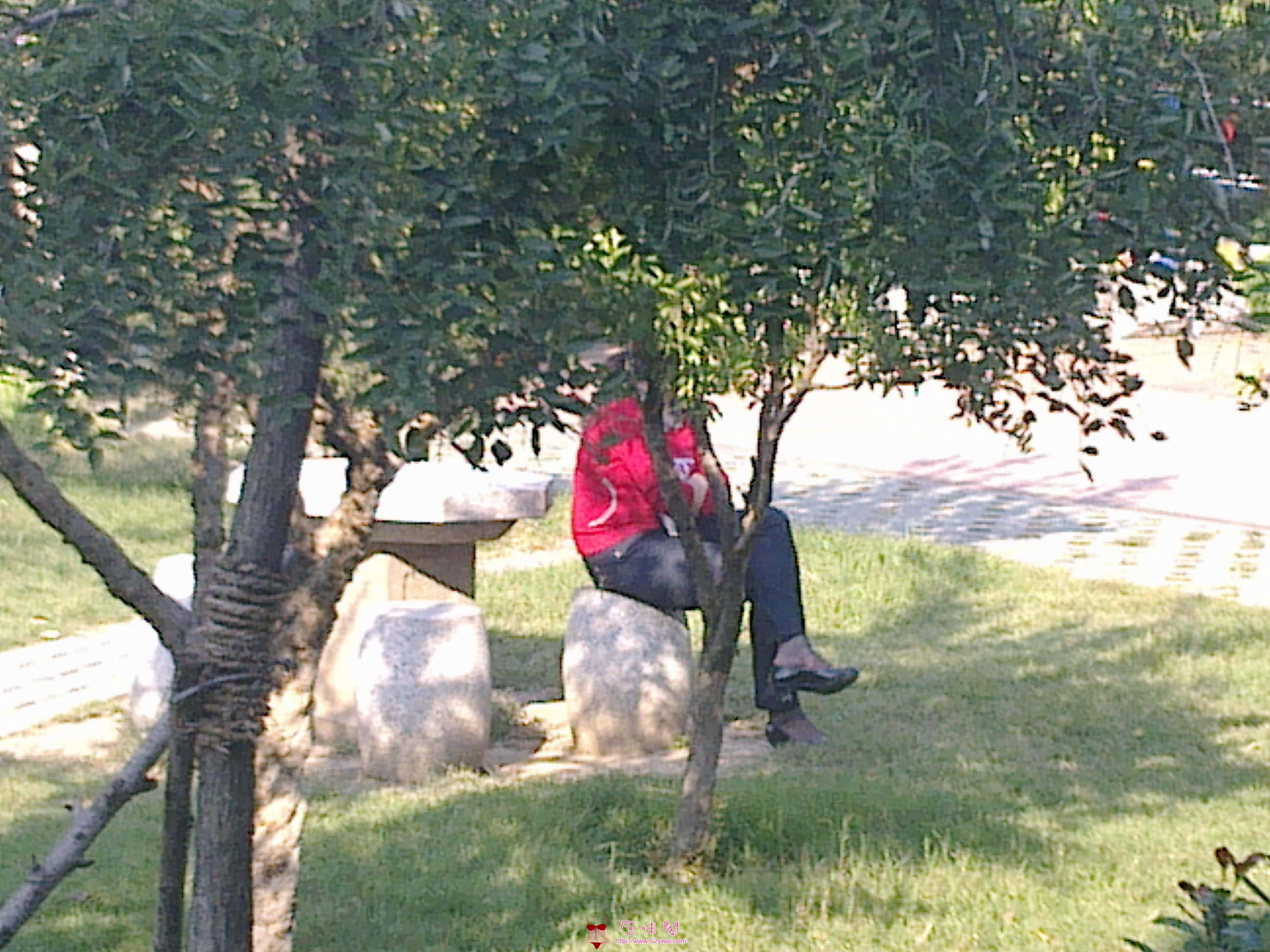 20110925532.jpg
