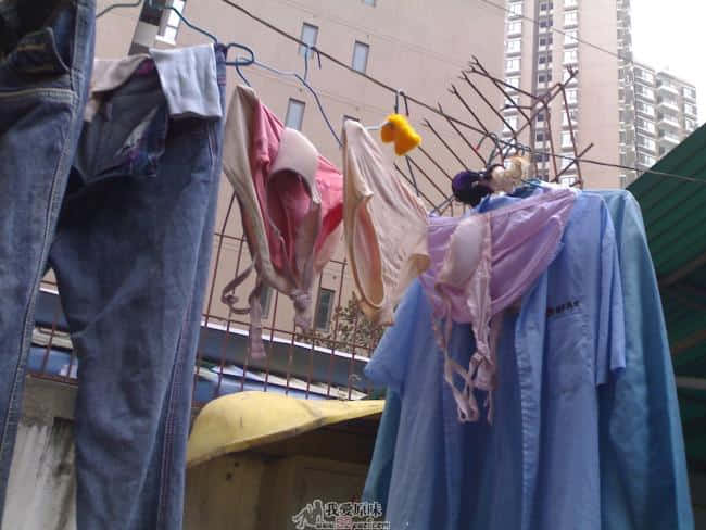 20090305067.jpg