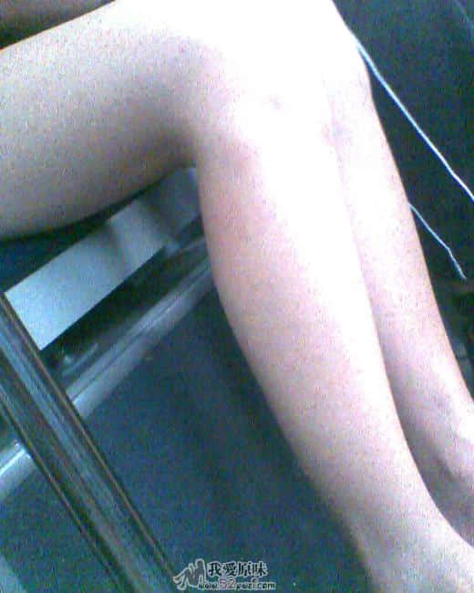 IMG0528A.jpg