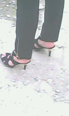 IMG2027A.jpg
