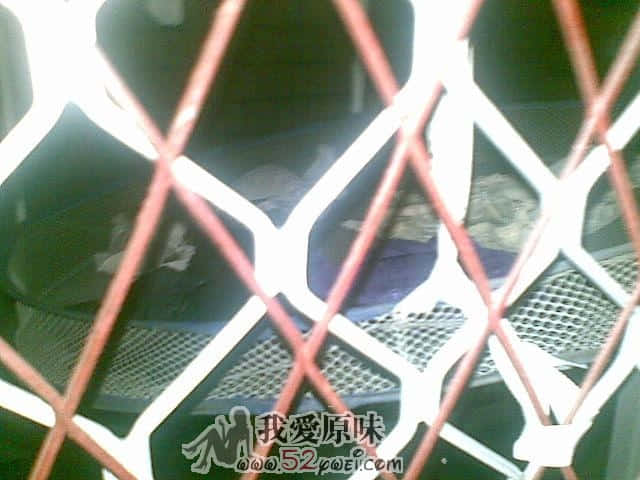 铁窗里的诱惑