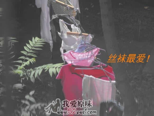 楼下少妇晾晒的内衣 (1).JPG
