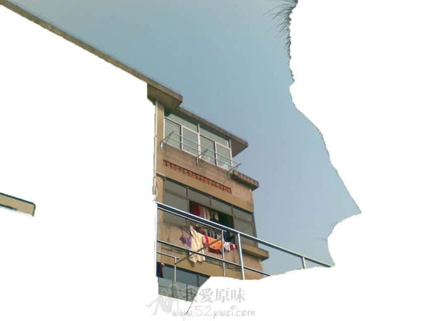 图像442.jpg