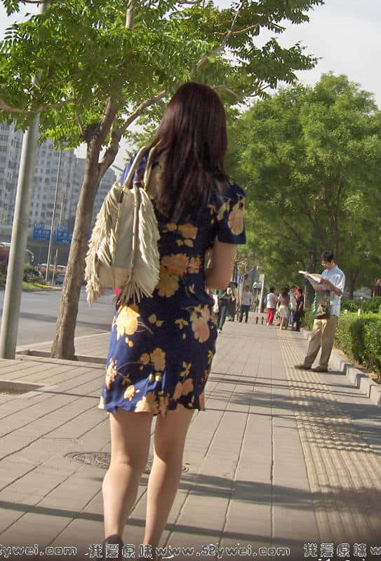 在上班的路上发现了这位漂亮MM，便决定要多欣赏一会儿。