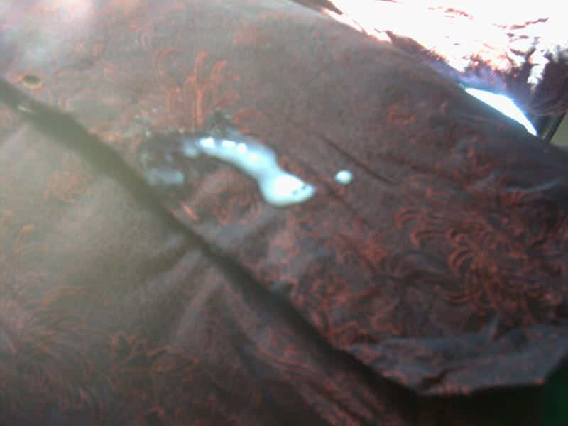 PICT0999.JPG