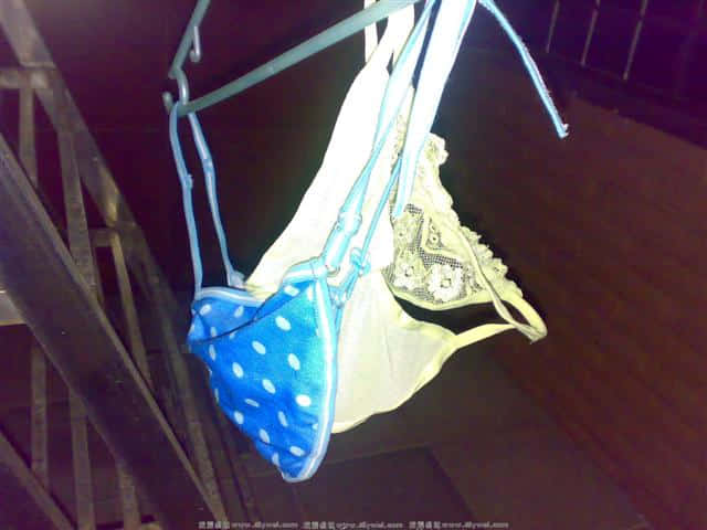 20070728028.jpg
