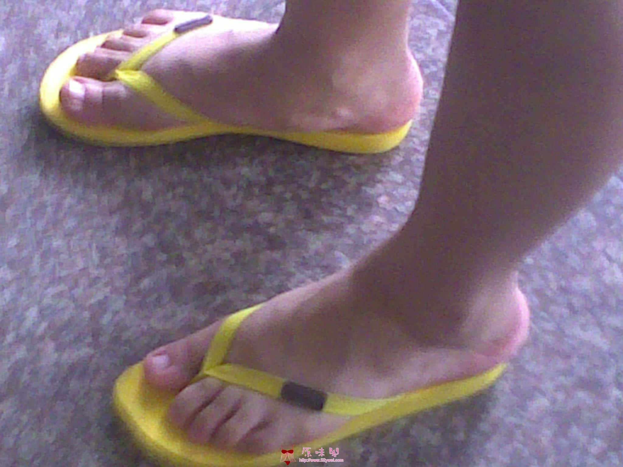 20100709210.jpg