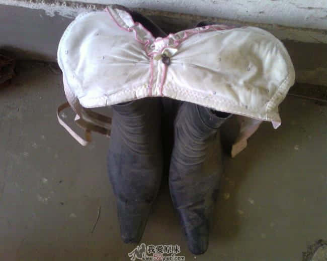 2008-0114.jpg