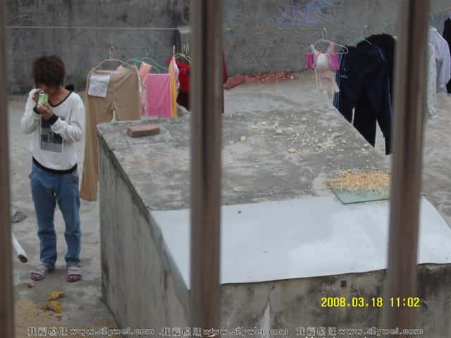 SNV80261.JPG