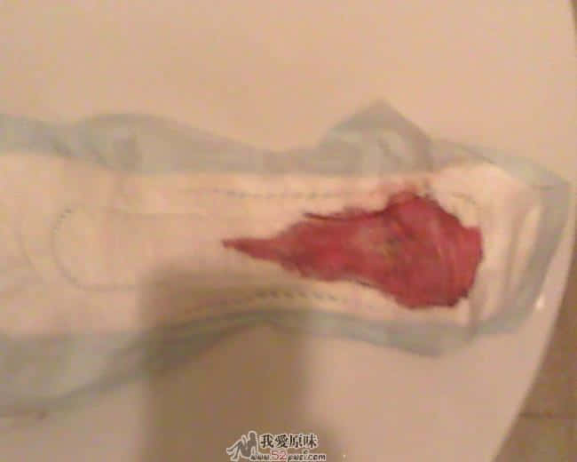 IMG0503A.jpg