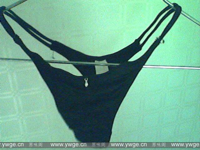 IMG1538A.jpg