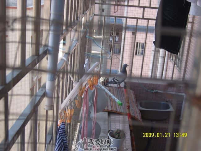SNV80004.JPG