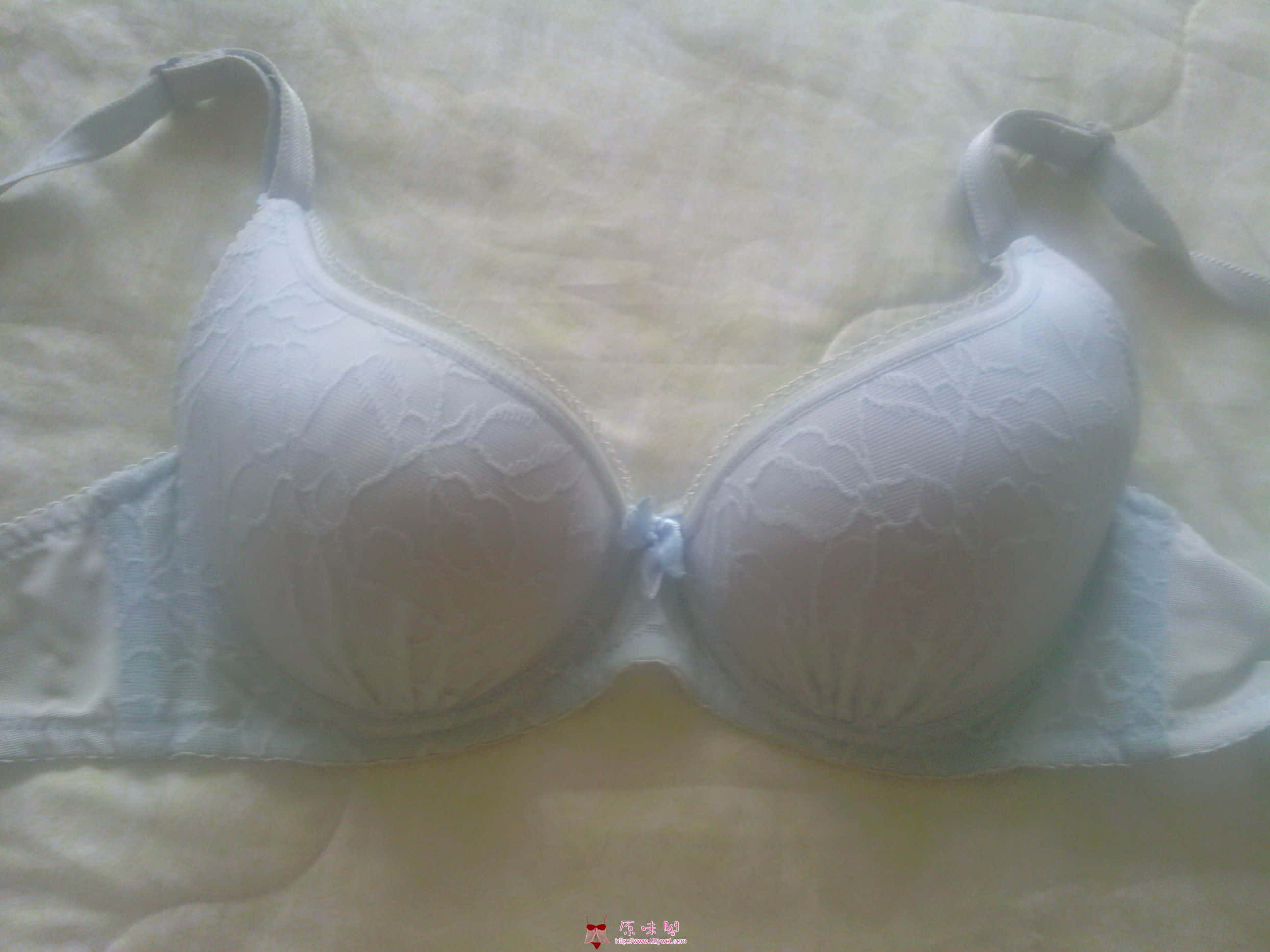 IMG_20120818_070216.jpg