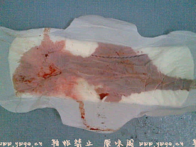 20071230(004).jpg