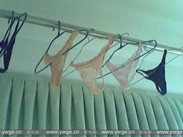 IMG1518A.jpg