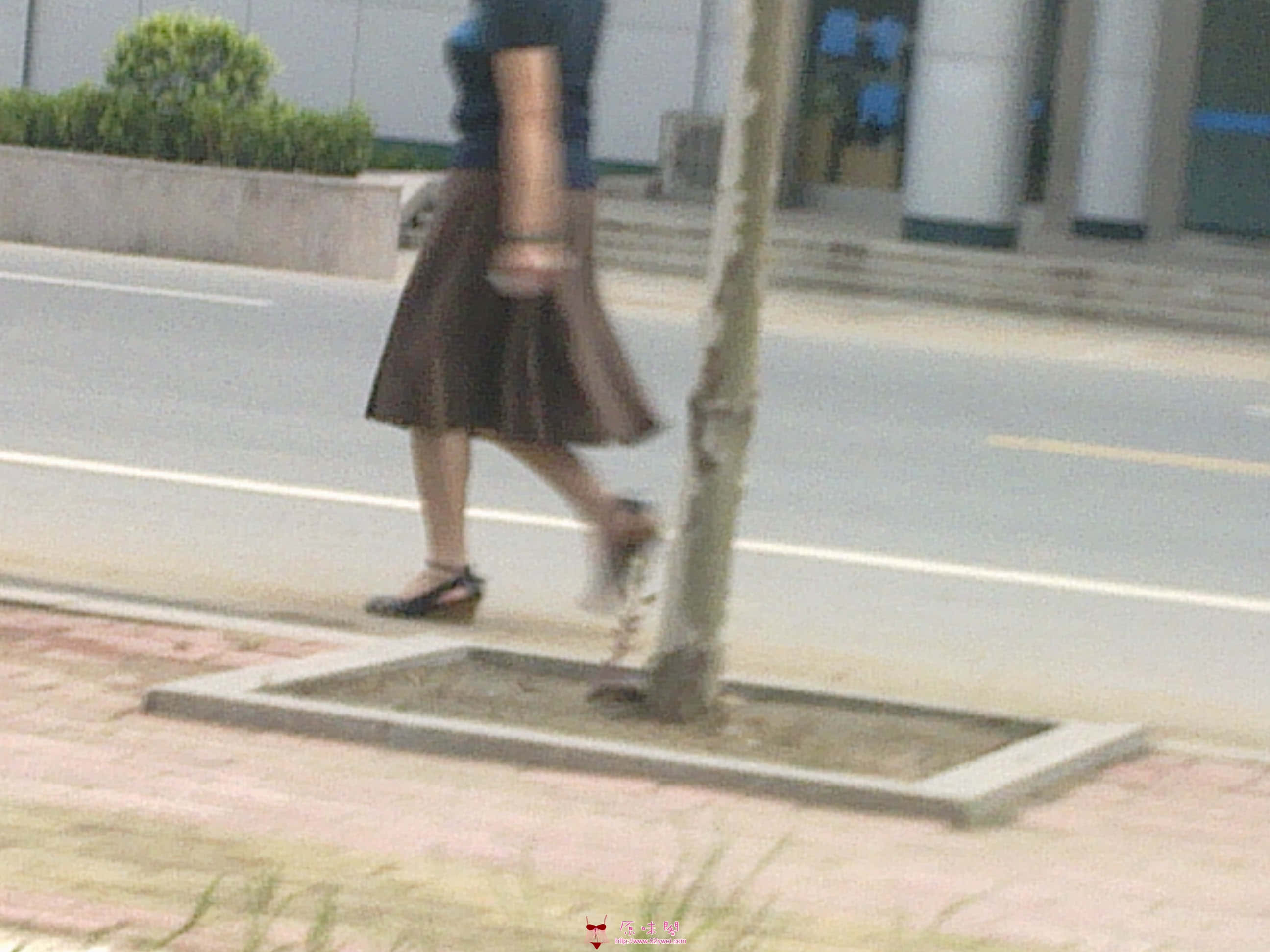 20110813343.jpg