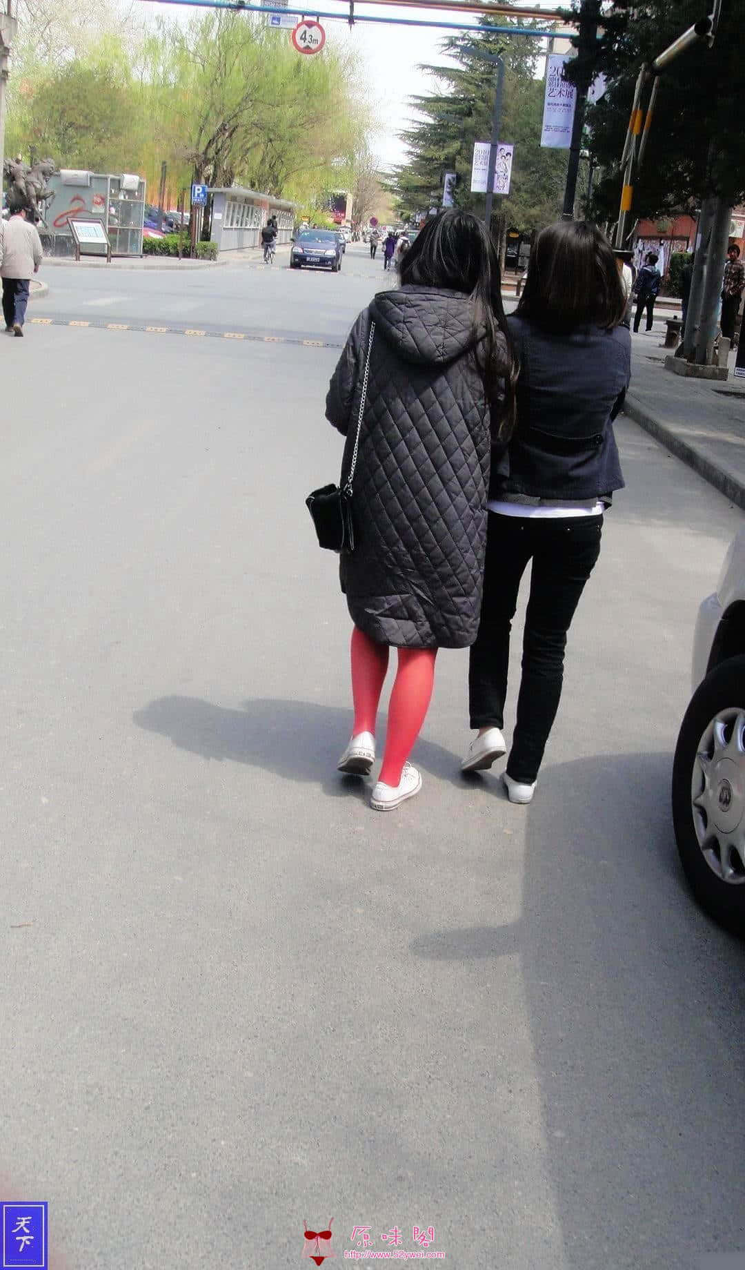BDSC06247.JPG