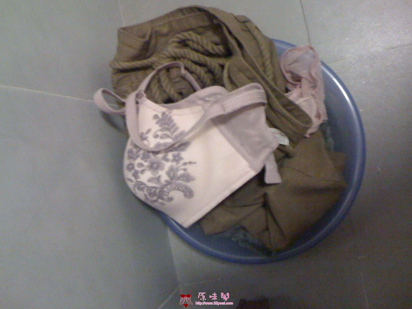 20101116_084930_945.jpg