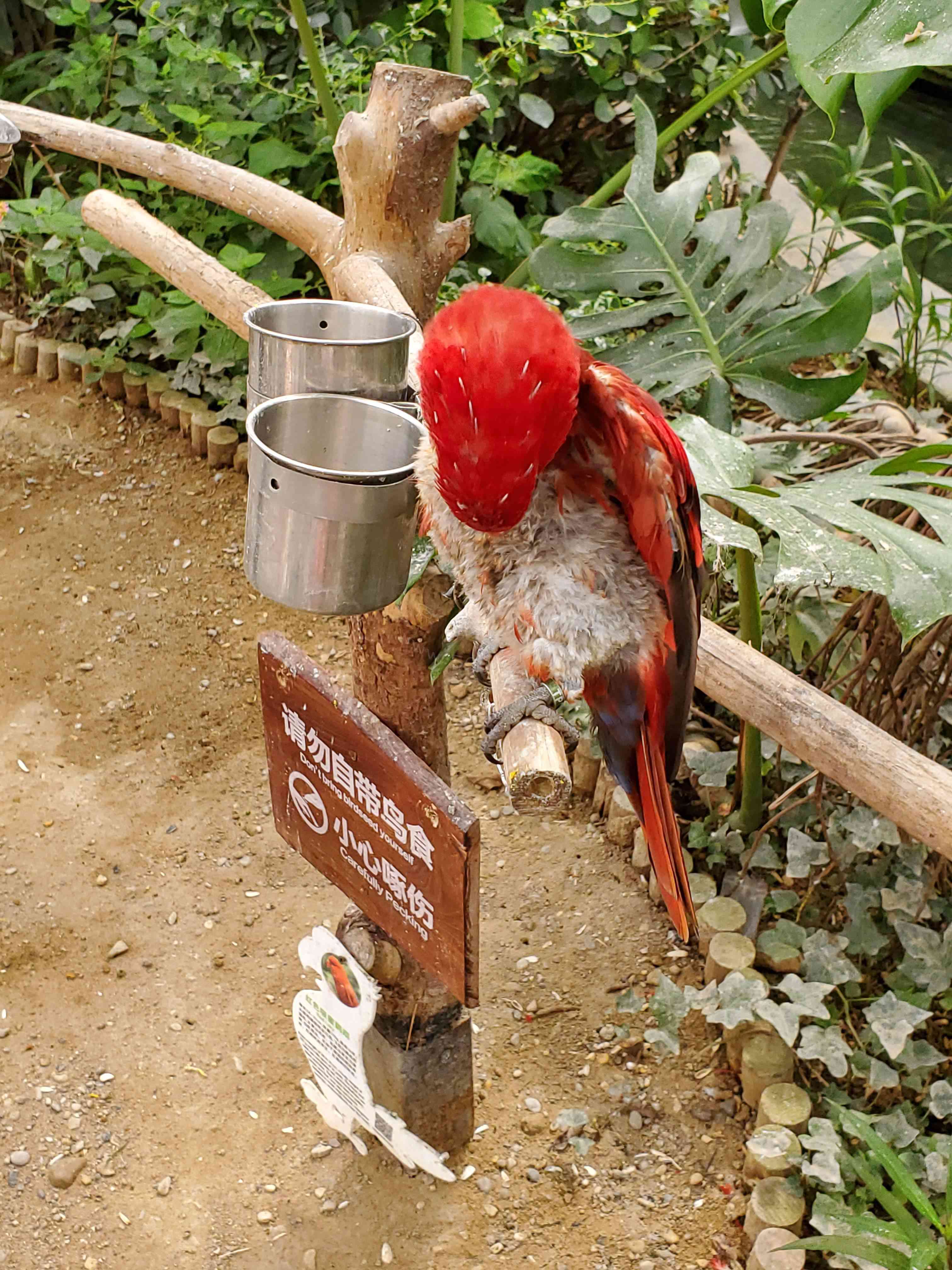 20190914_105656.jpg