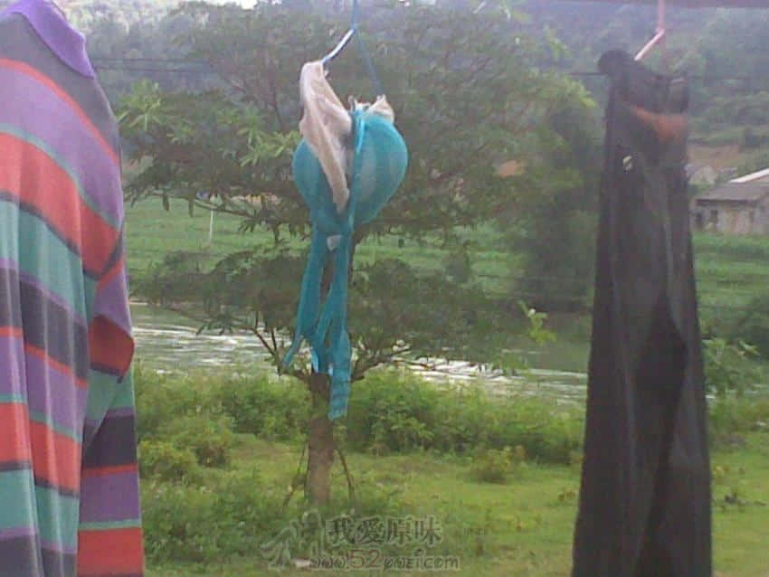 20090512144.jpg