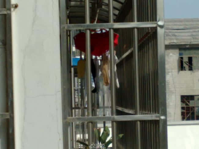200904281500.jpg