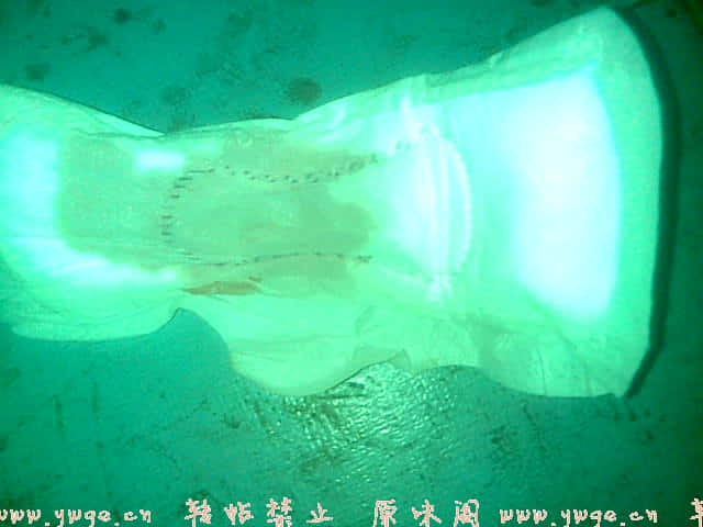 带了点清苹果味