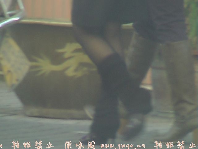 20071107_f242c5d5af5b110a23ac5auQqTHzuA9c.jpg
