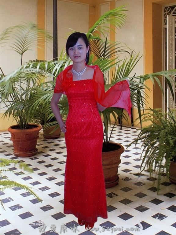 20080203232925436.jpg